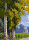 Paul Kratter 3 Video Bundle