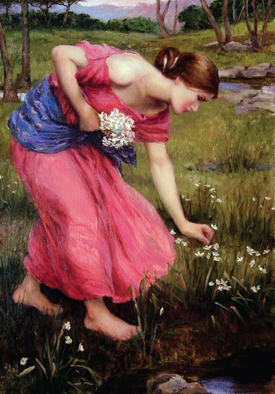 Johnnie Liliedahl: Narcissus