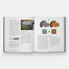 Todd M Casey: Oil Painters Color Book Hardcover