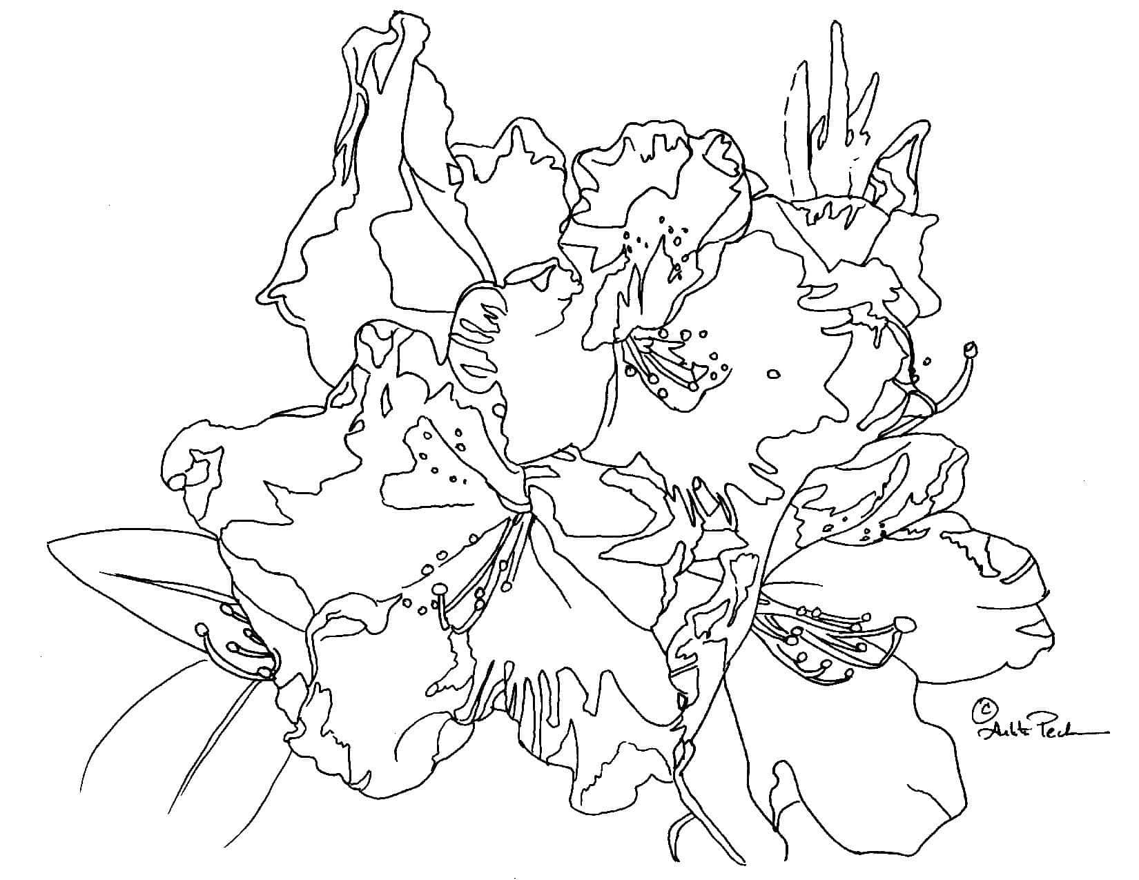 Arleta Pech: Pure Color Glazing in Watercolor