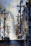 Thomas W. Schaller DVD/Book Combo Set