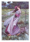 Johnnie Liliedahl: Windflowers