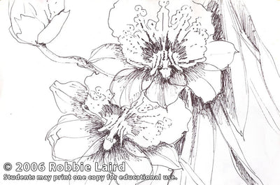 Robbie Laird: Flowing Florals - The Informed, Intuitive Approach
