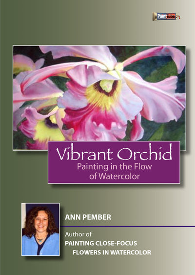 Ann Pember: Vibrant Orchid