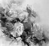 Susan Blackwood/Clouds & Sky Combo