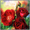 Susan Harrison-Tustain: Watercolor Workshops