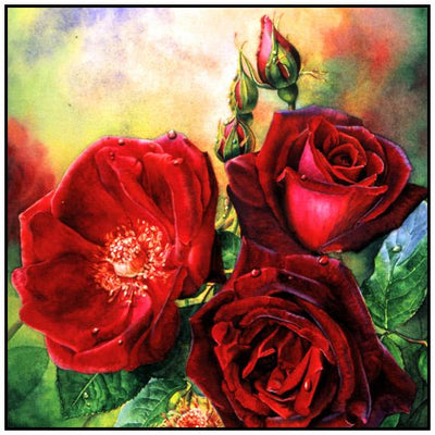 Susan Harrison-Tustain: Watercolor Workshops