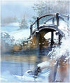 Thomas W. Schaller DVD/Book Combo Set