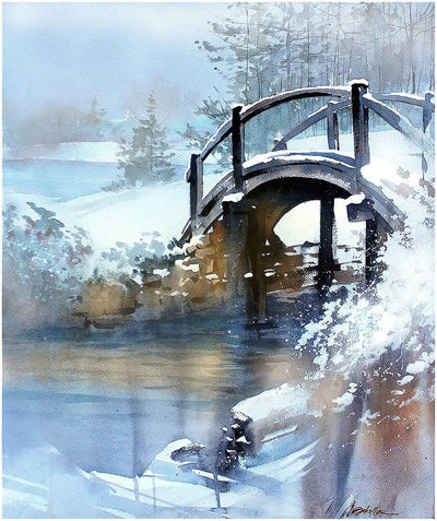Thomas W. Schaller DVD/Book Combo Set