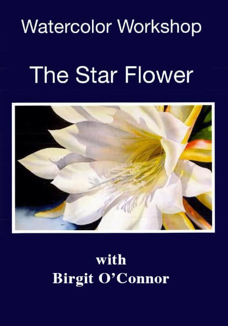 Birgit O'Connor: Watercolor Workshop - The Star Flower