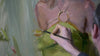 Tim Rees: Modern Figures: Painting Big, Fresh and Loose